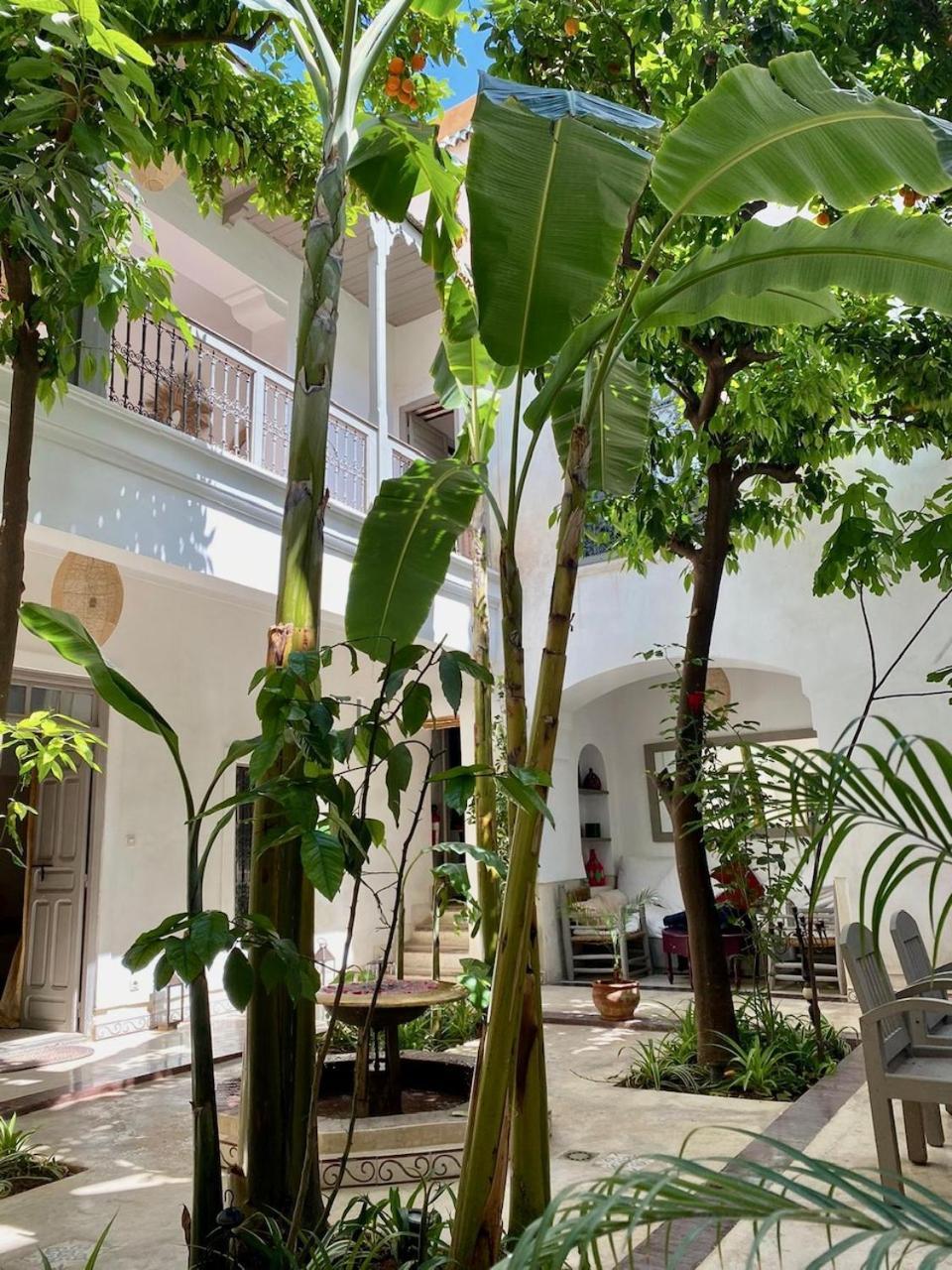 מרקש Riad Dar Aman מראה חיצוני תמונה