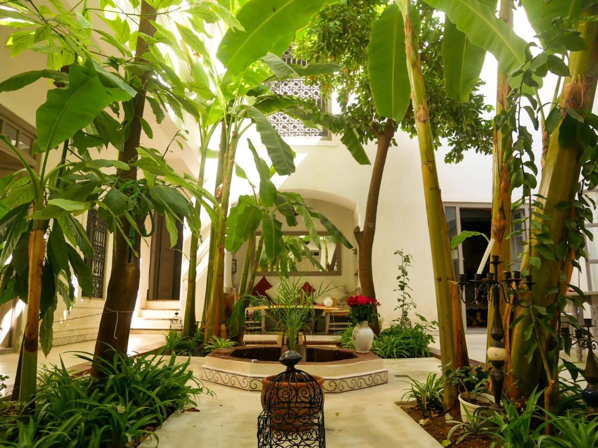 מרקש Riad Dar Aman מראה חיצוני תמונה
