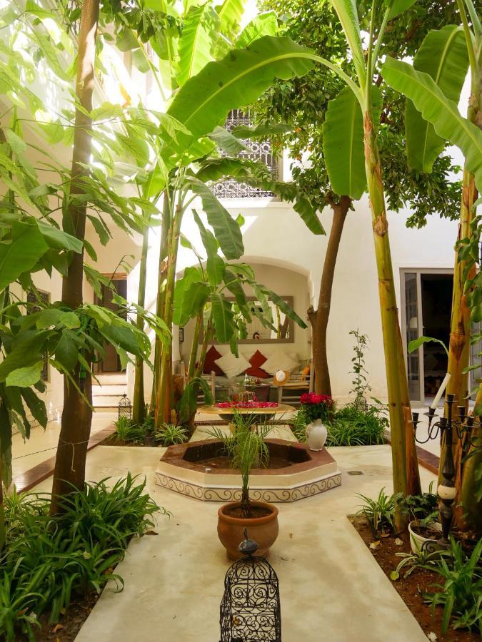 מרקש Riad Dar Aman מראה חיצוני תמונה