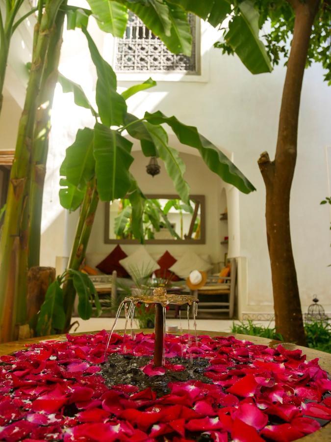 מרקש Riad Dar Aman מראה חיצוני תמונה